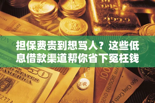 济南担保费贵到想骂人？这些低息借款渠道帮你省下冤枉钱