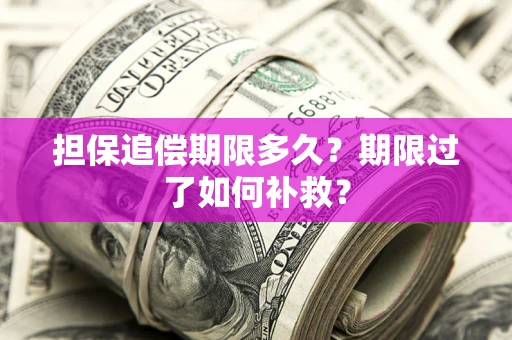 济南担保追偿期限多久？期限过了如何补救？