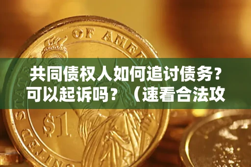 济南共同债权人如何追讨债务？可以起诉吗？（速看合法攻略）